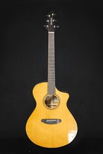 Breedlove Performer Pro Series