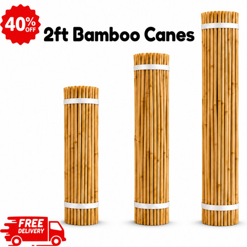 2ft bamboo garden canes strong - 2ft,