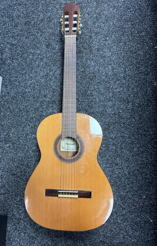 Raimundo 120e semi acoustic - raimundo,