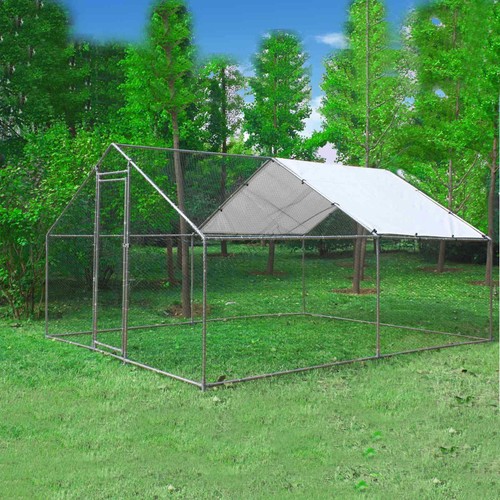 Chicken run cage walk - chicken, pet
