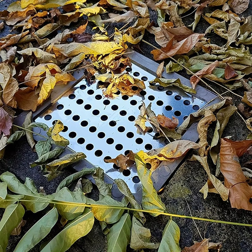 Drain guard cover - drain, stainless
