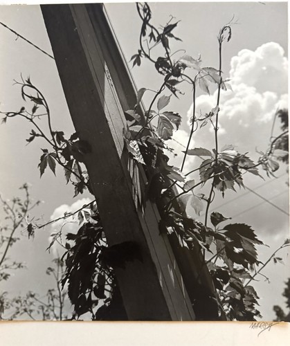 Vtg 1940s black white fine - white, art