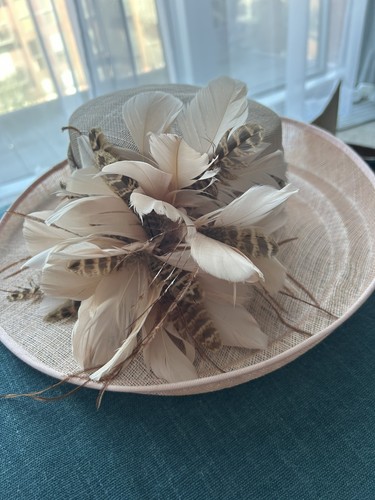 Blush pink feather occasion - pink,