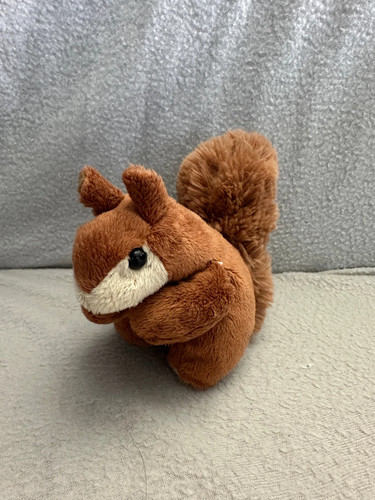 Living nature small - , squirrel