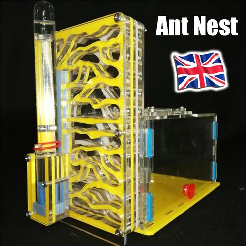 Acrylic bio formicarium - bio,