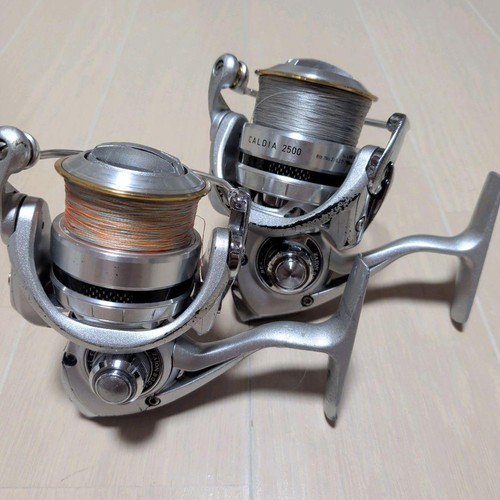 Daiwa caldia 2500 2506 - 11,