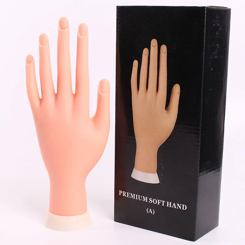 Finger model practice acrylic - finger,