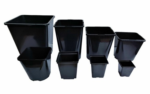 Square plant pot - plant, .5