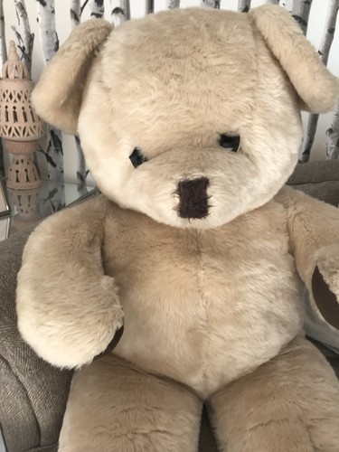 Extra large display teddy - display, bear