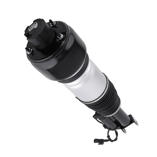 Air ride suspension strut - ride,