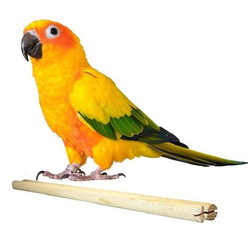 Happy pet wooden perch - wooden,