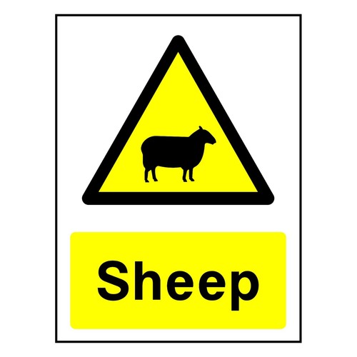 Sheep sign sticker - sheep,