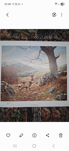 Hans bulder print roe - bulder,