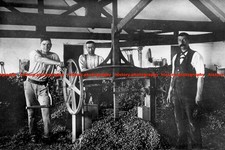 F014440 Pressing Hops in Oast House Kent England UK