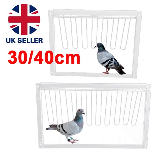 Removable trap door bird - trap, cage