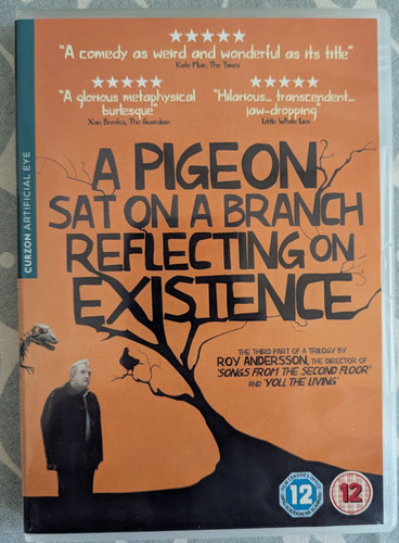Pigeon sat a branch - pigeon, on