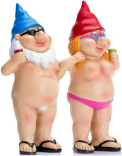 Playful Rude Garden Gnomes -