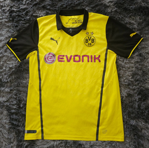 Borussia dortmund 2013 - dortmund, 2013/2014