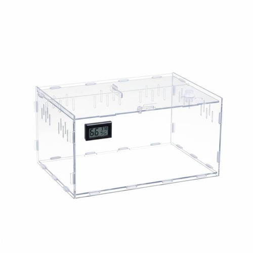 Transparent amphibian - transparent,