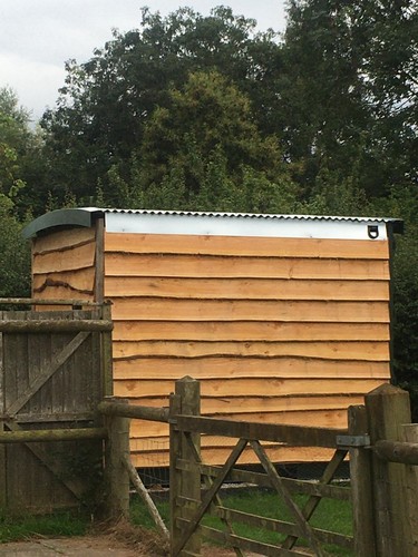 Mtrs cladding waney - 30,
