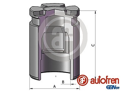 Autofren seinsa d025542 - autofren,