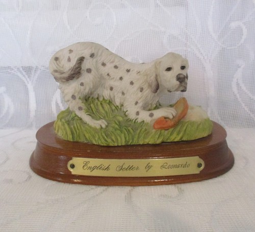 Leonardo english setter - leonardo, on