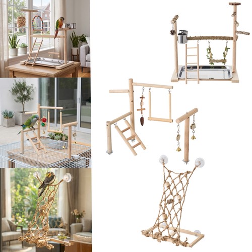 Parrot playstand bird plays - parrot,