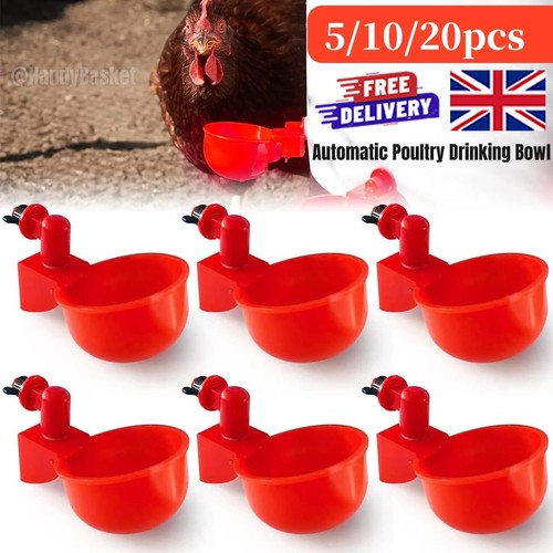 20pcs automatic chicken water - automatic,
