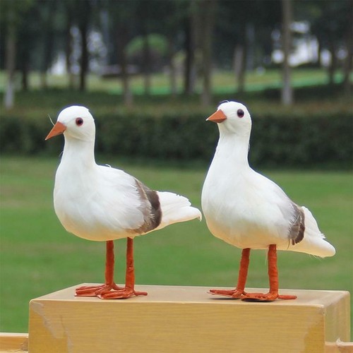 Simulation seagull home - simulation,