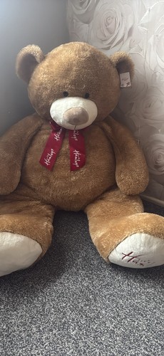 Hamleys large teddy - teddy, soft
