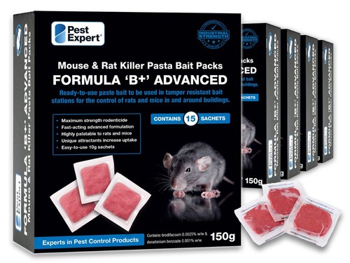 Pest expert rat poison - pest,