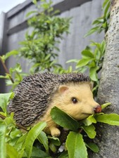 Hedgehog Garden Ornament Resin