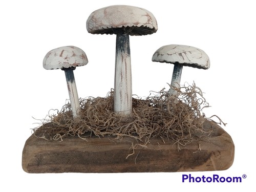 Hand carved wood trio mushroom - hand,