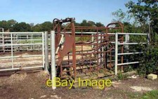 Photo 6x4 Cattle crush on