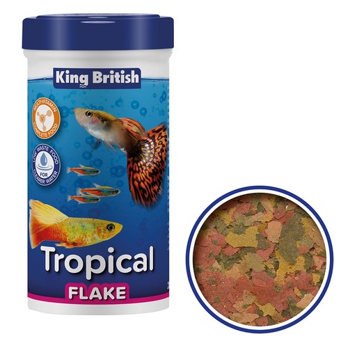 King british tropical fish - tropical,