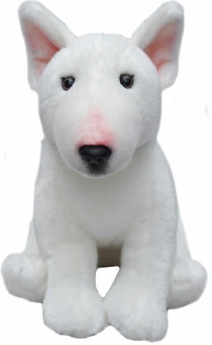 English bull terrier - 12", teddy