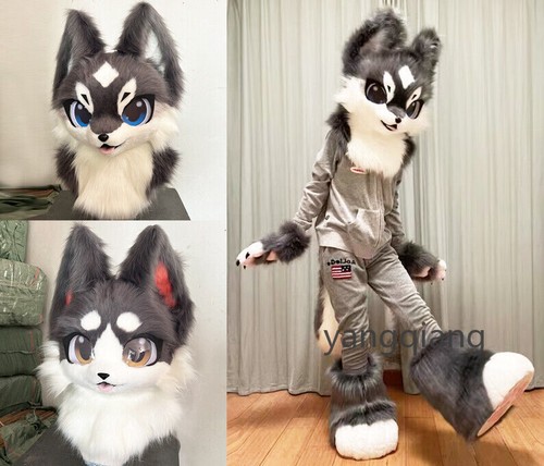 Fursuit long fur husky - fursuit,