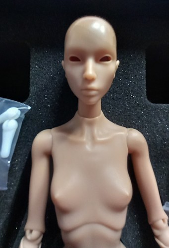Metisdoll artist fashion doll - metisdoll,
