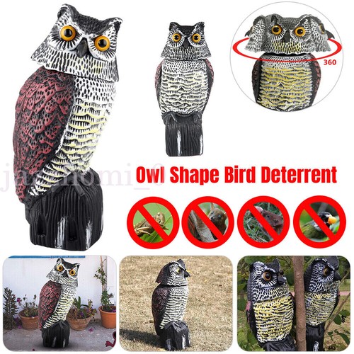 Owl decoy deterrent bird - decoy,