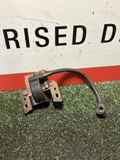 Hayter Harrier 48 Petrol