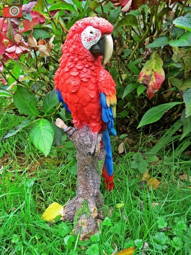 Red macaw figure fabulous - red,