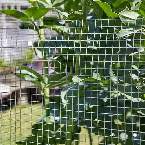 Galvanised welded wire - wire, mesh