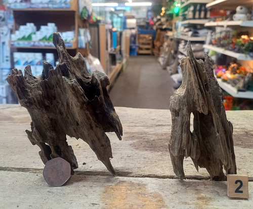 Nano dragon wood bundles - nano,
