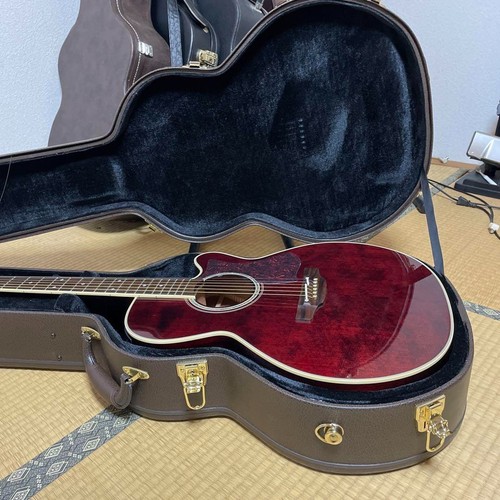 Takamine dmp551c - takamine,