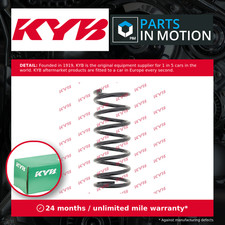 2x Coil Springs (Pair Set)