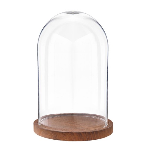 Glass display cloche bell - display,