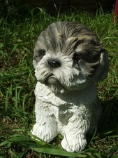 Latex Mould / Mold for a