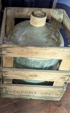 Large glass carboy Terrarium