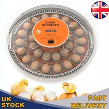 30 Egg Incubator Egg Candle