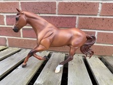 Body Condition Traditional